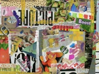 Winter Workshops – Collage Image